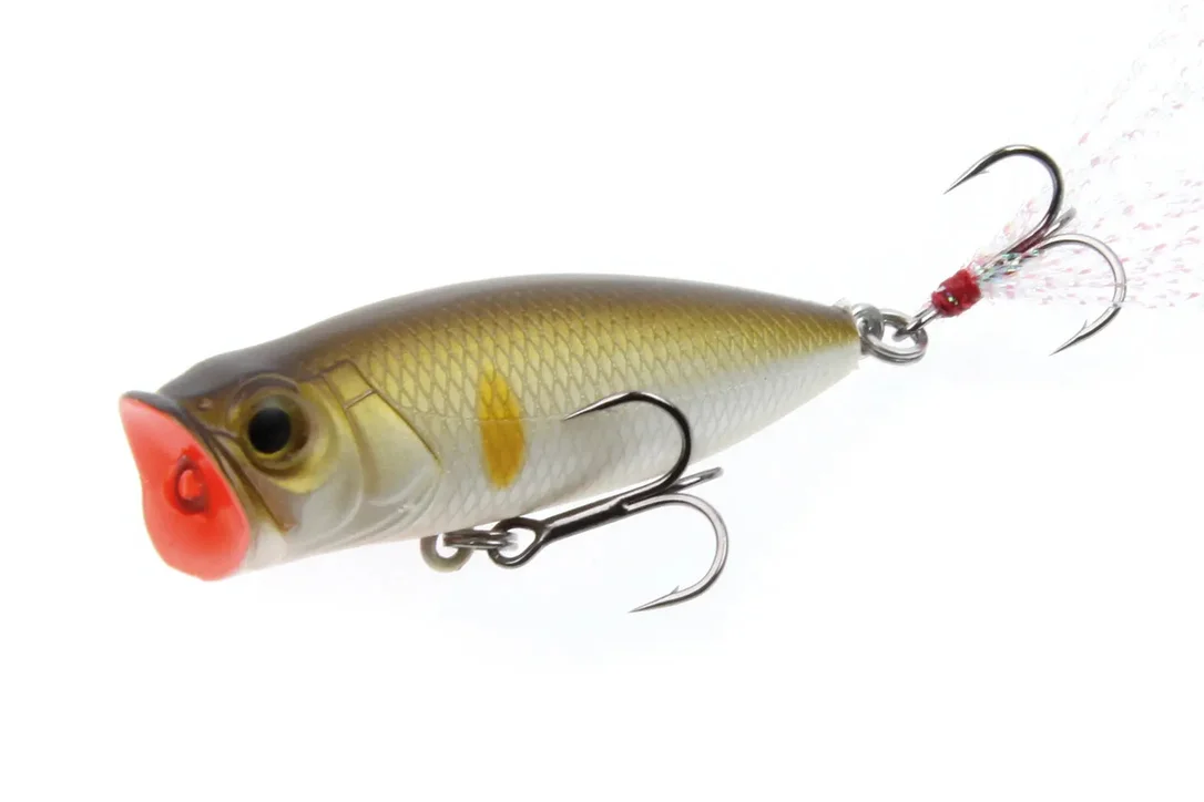 charliesfishing406173
