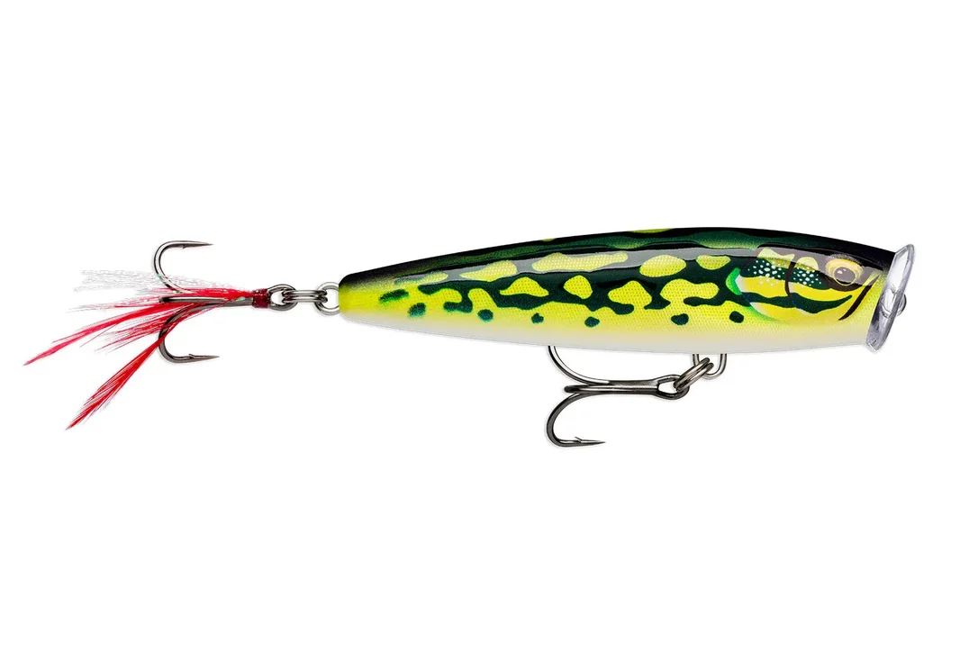 charliesfishing407398