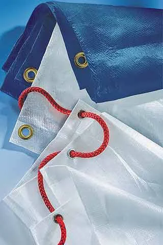 compass24400266