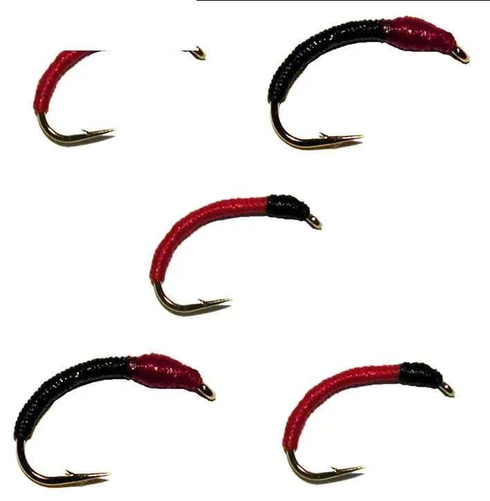 franz-geht-fischen375562