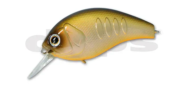 franz-geht-fischen376246