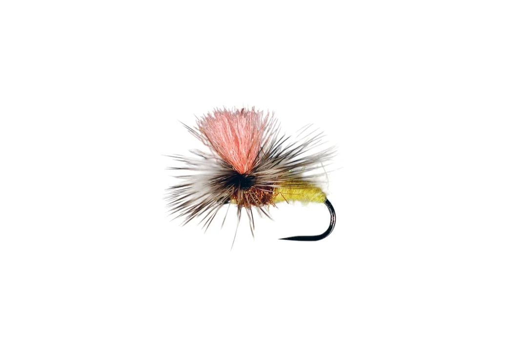 funfish368645