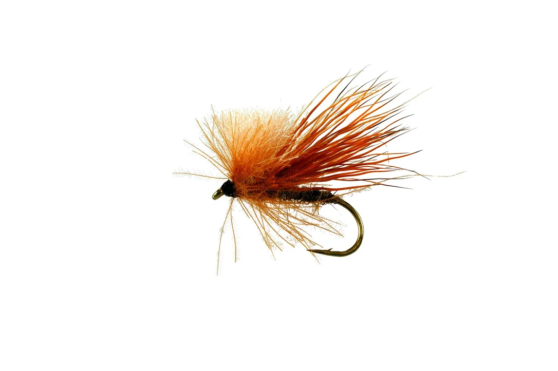 funfish378563