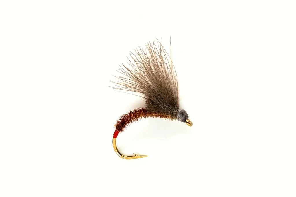 funfish381333