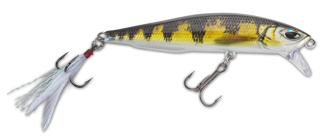 funfish384888