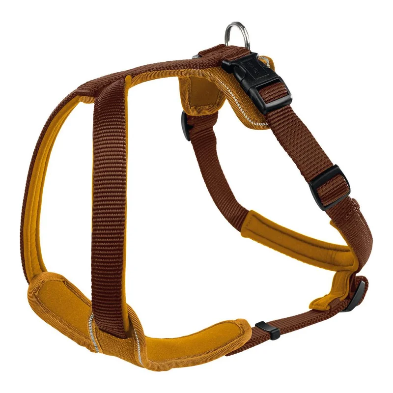 hauptner-jagd383619
