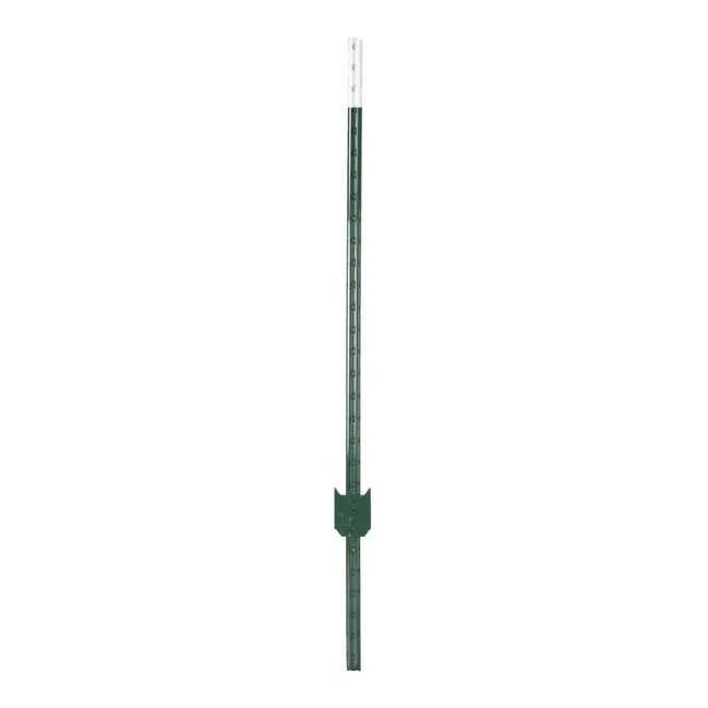 hauptner-jagd387821