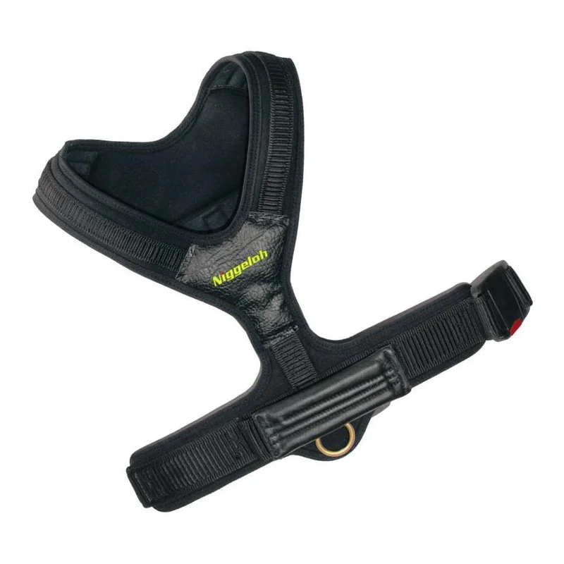 hauptner-jagd392966