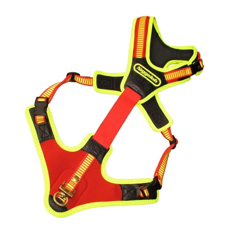 hauptner-jagd393478