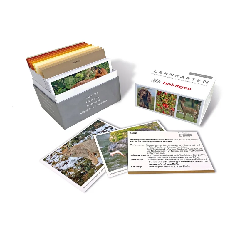 hauptner-jagd405317