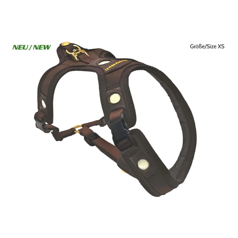 hauptner-jagd434810