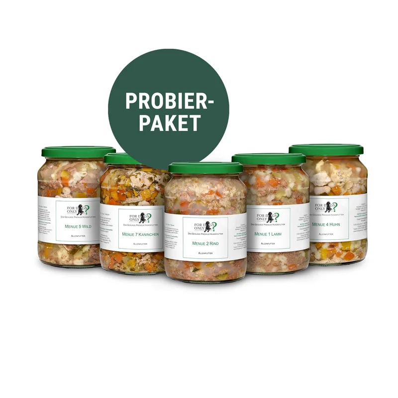 hauptner-jagd448791