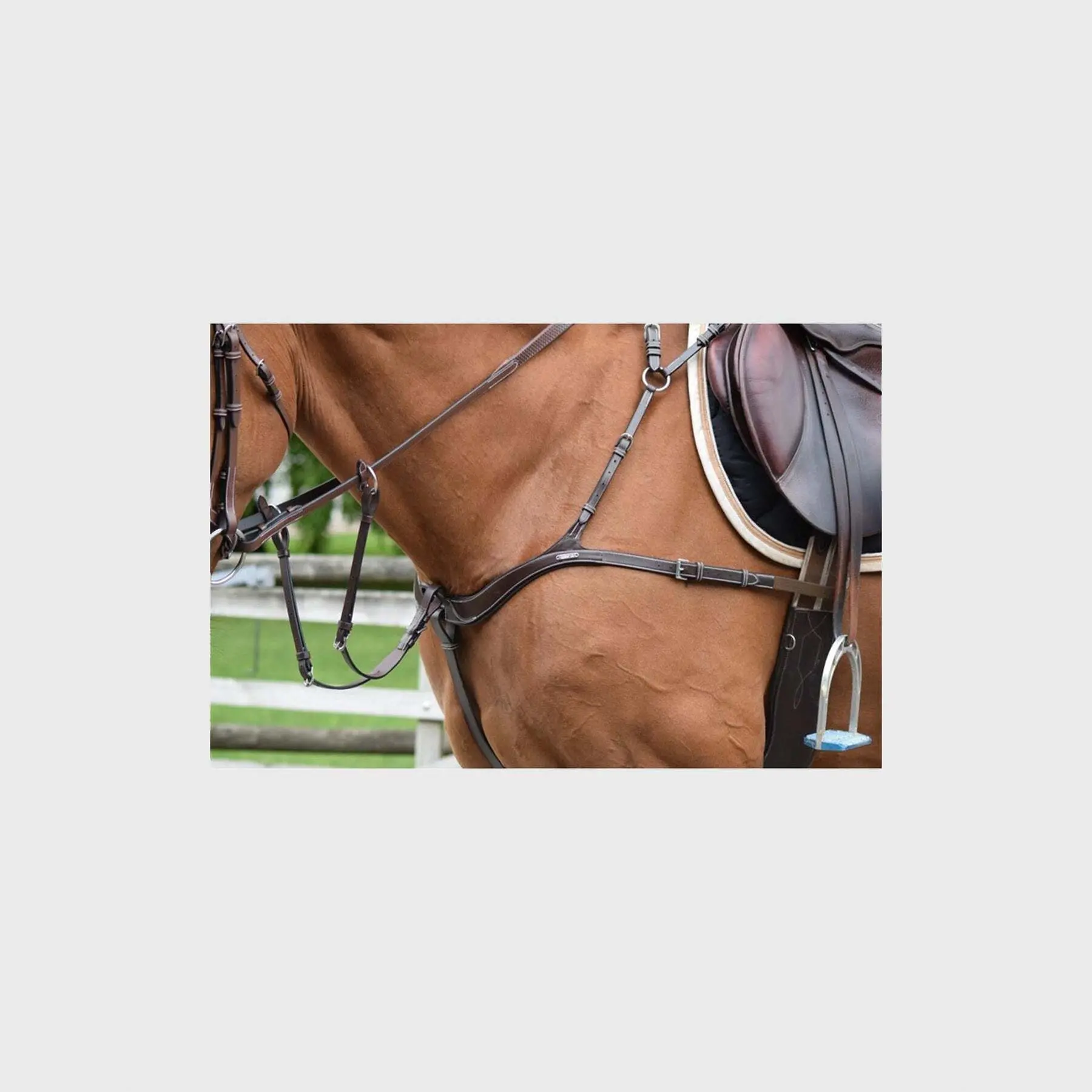 sportisgood1729896