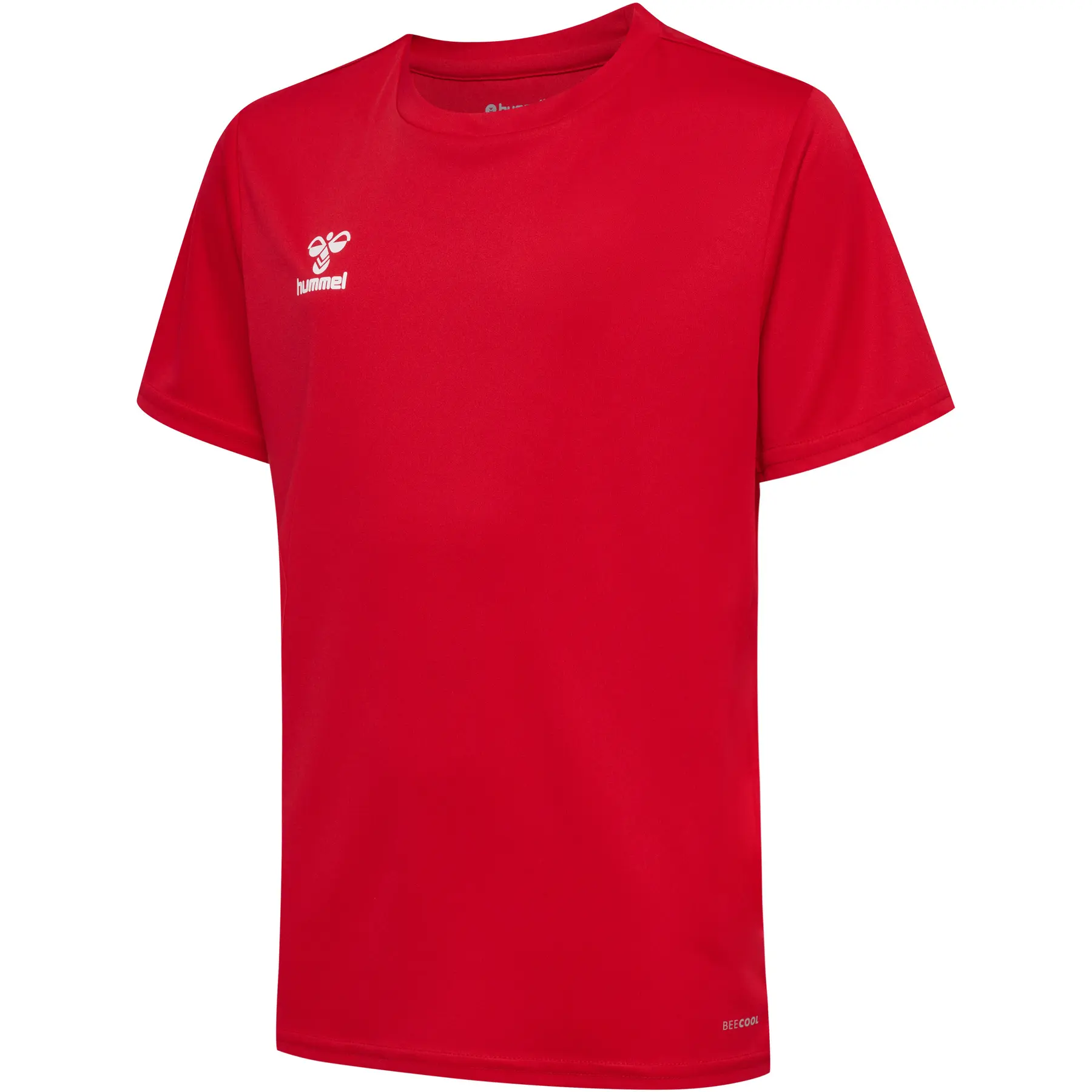 sportisgood1813314