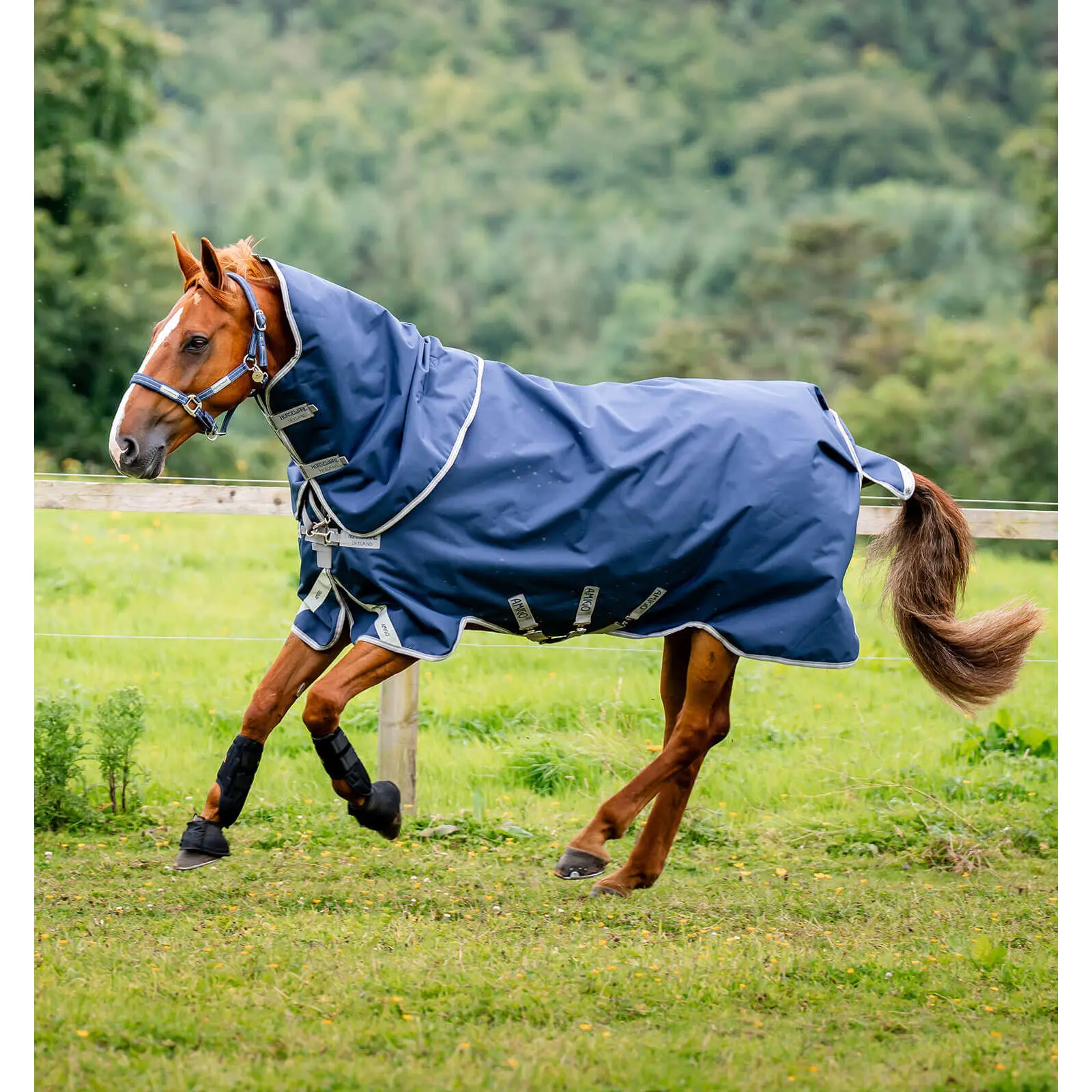 sportisgood430178