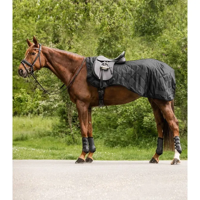 sportisgood582005