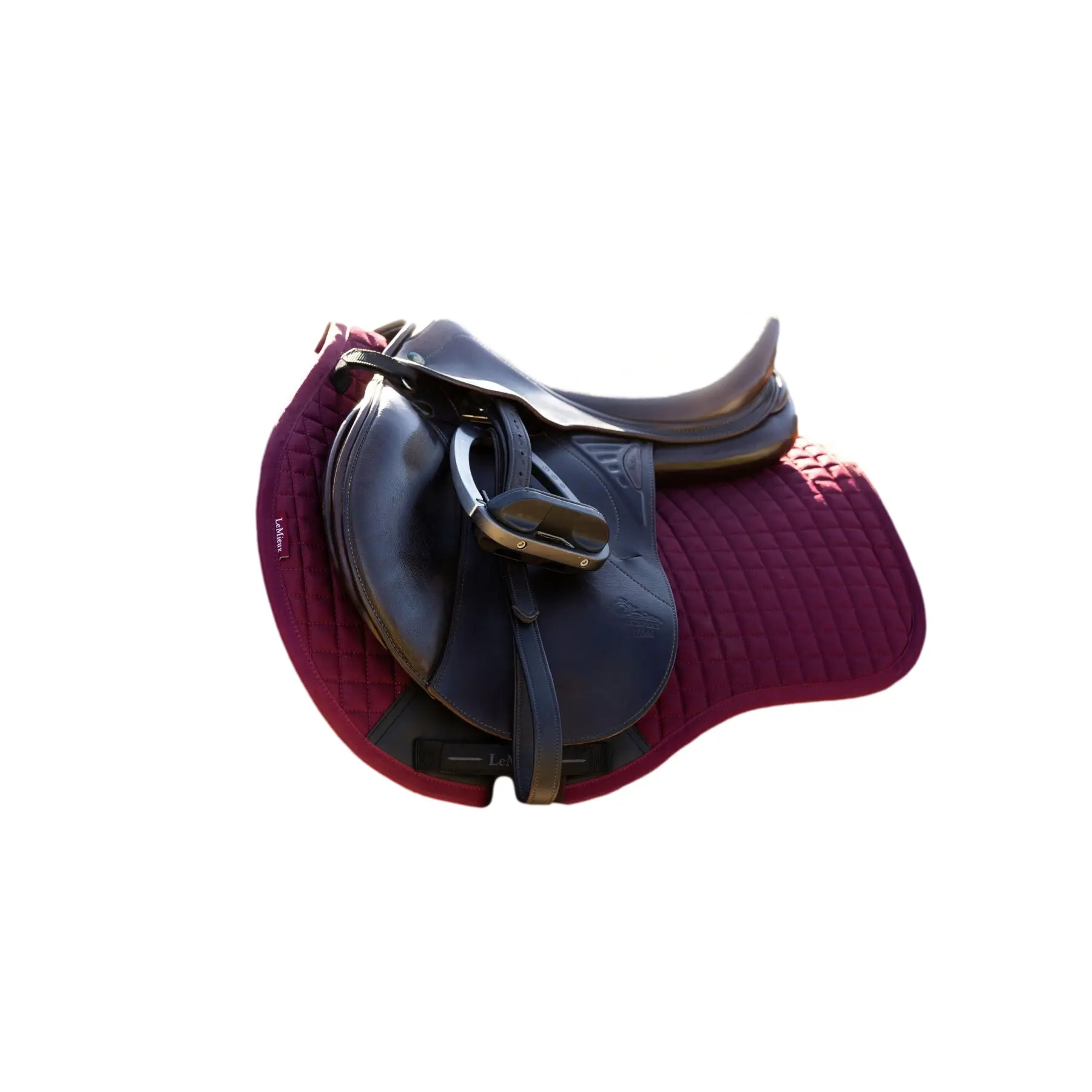 sportisgood806302