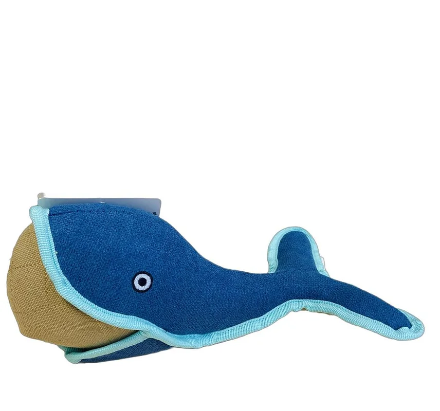 surfdeal414347