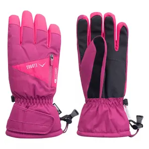 trek-expert-1668904