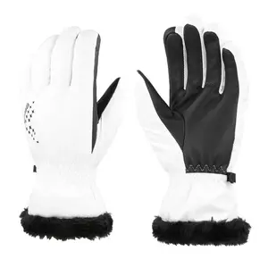 trek-expert774401